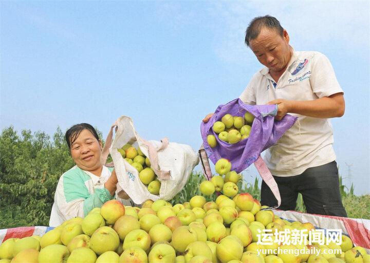 山西夏县最新新闻动态概览