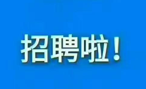 项城最新招聘动态，探索58同城招聘平台的机遇与挑战