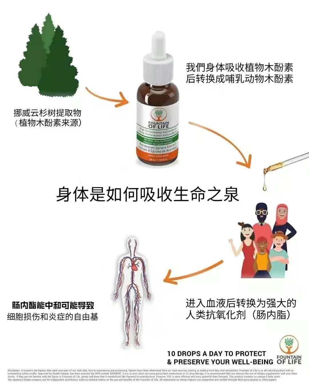 生命还原液最新动态，引领健康科技新革命，揭秘生命还原奥秘