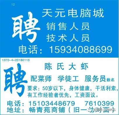 临邑信息网最新招聘动态，岗位发布与影响分析