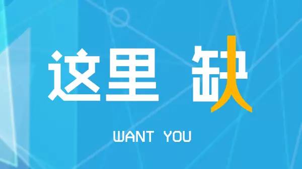 珠海新晨职介最新招聘动态及其影响分析